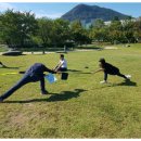 용산초등학교 이미지