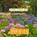 낙동제방 자전거도로 이미지