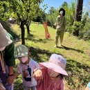 나무와새어린이집 이미지