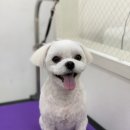 라미살롱 이미지