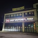 딥모터스 이미지
