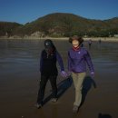 정현태양광발전소 이미지