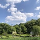 자연수변공원 이미지