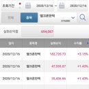 엠에스에프엔비
