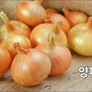 플러스아이미코병원 이미지