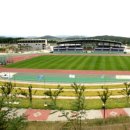 영광잔디 이미지