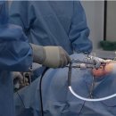 안양본동물의료센터 이미지