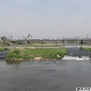 오산천 산책로 이미지