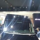 현대자동차 쏠라티 튜닝 이미지