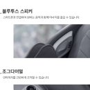 디르