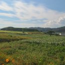 연천호로고루 이미지