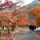 11,12일 수,목산으로출발 산행 안내 합니다. 이미지