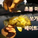 베이트인사이트