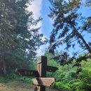 금마충전소 | 미륵사지 둘레길 산책후기 ( 기양정류소 ~ 미륵사지 ~ 구룡마을 대나무숲 )( 익산가볼만한곳, 익산산책)