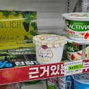 세븐일레븐 대구의료원점 | 세븐일레븐 신상 오하요 쟈지 푸딩 솔직 후기