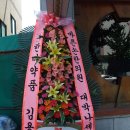 한미약품 주식회사 이미지