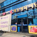 산골염소미소정육