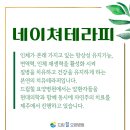 드림힐요양병원 제주 암요양병원 자연주의 현대의학 힐링 치료 전문