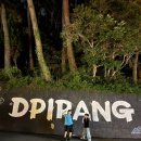 남망산공원 | 통영 아이랑 가볼만한곳 남망산 미디어아트 디피랑
