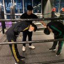 HANBOXING 네이버블로그