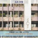 타이중 여행 필수! 소프 호텔 추천 후기: 놓치지 마세요