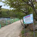 렛츠고강화캠핑 | 강화도캠핑장 [렛츠고강화캠핑]