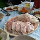 엠엘피 이미지