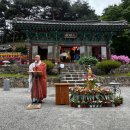 성신이용원 네이버블로그