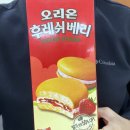 대천양계장 | [137주차 주간일기] 마지막 스터디, 잘 하고 있다☺️, 글루텐 마라탕, 시골쥐 과거시험 보러 한양갑니다🐭