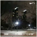 [2016.01.13](수) 서울숲 러닝 30분지속주 후 5K TT (실패)