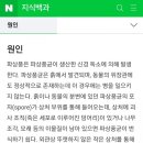 강남위튼내과의원 이미지