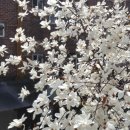 응암동 114-10 이미지