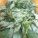 (주)삼엽 이미지