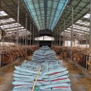 유전2농장 이미지