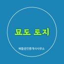 묘도공인중개사사무소 티스토리