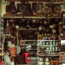 유니얼라이 이미지