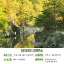 바람길여행사