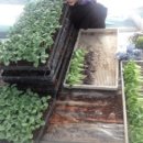 영오2농장 이미지