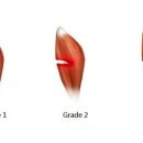 수원-0601 이미지