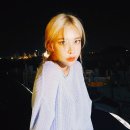 36.5 이미지