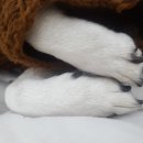 한민서적 이미지