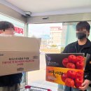 용문정화장실2 | - 양평 아나톨레펜션 : 내돈내산 101호 후기, 통나무향 가득했던 양평펜션