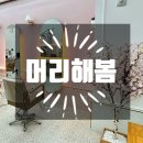 머리해,봄 이미지