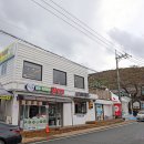 웰빙 녹차연잎 왕만두 이미지