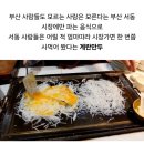 부산에만 있는건데 부산사람들도 잘 모른다는 부산 계란만두 이미지