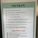 행복하게 해줄개 이미지