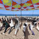 대진자원 | 영덕국제H웰니스페스타2025, 대진해수욕장에서 성황리 종료