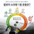 초지V점핑