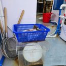 낙산바다이야기 | [양양여행] 잡은 참가자미 손질은 어디에서?! 바로! 낙산항 바다이야기 회센터!