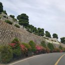 임피면사무소 | 전북 군산 임피면 봉황공원
